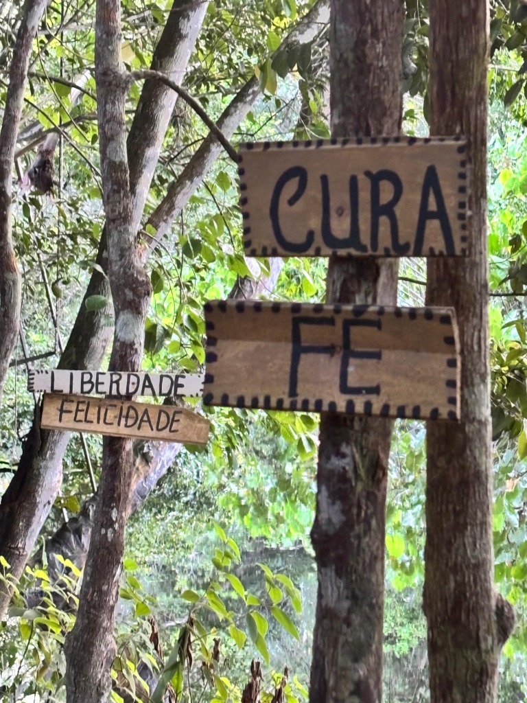 Señales de Cura y Fe en la selva